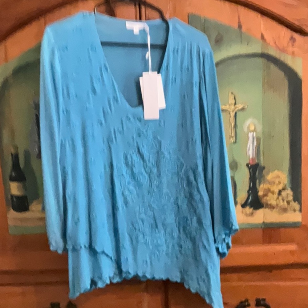 Karyn Seo Peacock Blouse - Picture 5 of 6